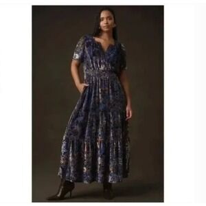 Anthropologie Somerset Velvet Maxi Dress 1X Plus Whimsigoth Fairy Boho